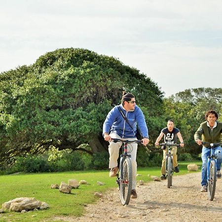 De Hoop Collection - Campsite Rondawels De Hoop Nature Reserve Экстерьер фото